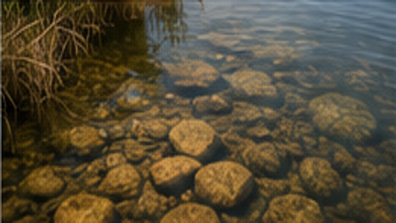 Klares Wasser mit Steinen und Bodenstruktur